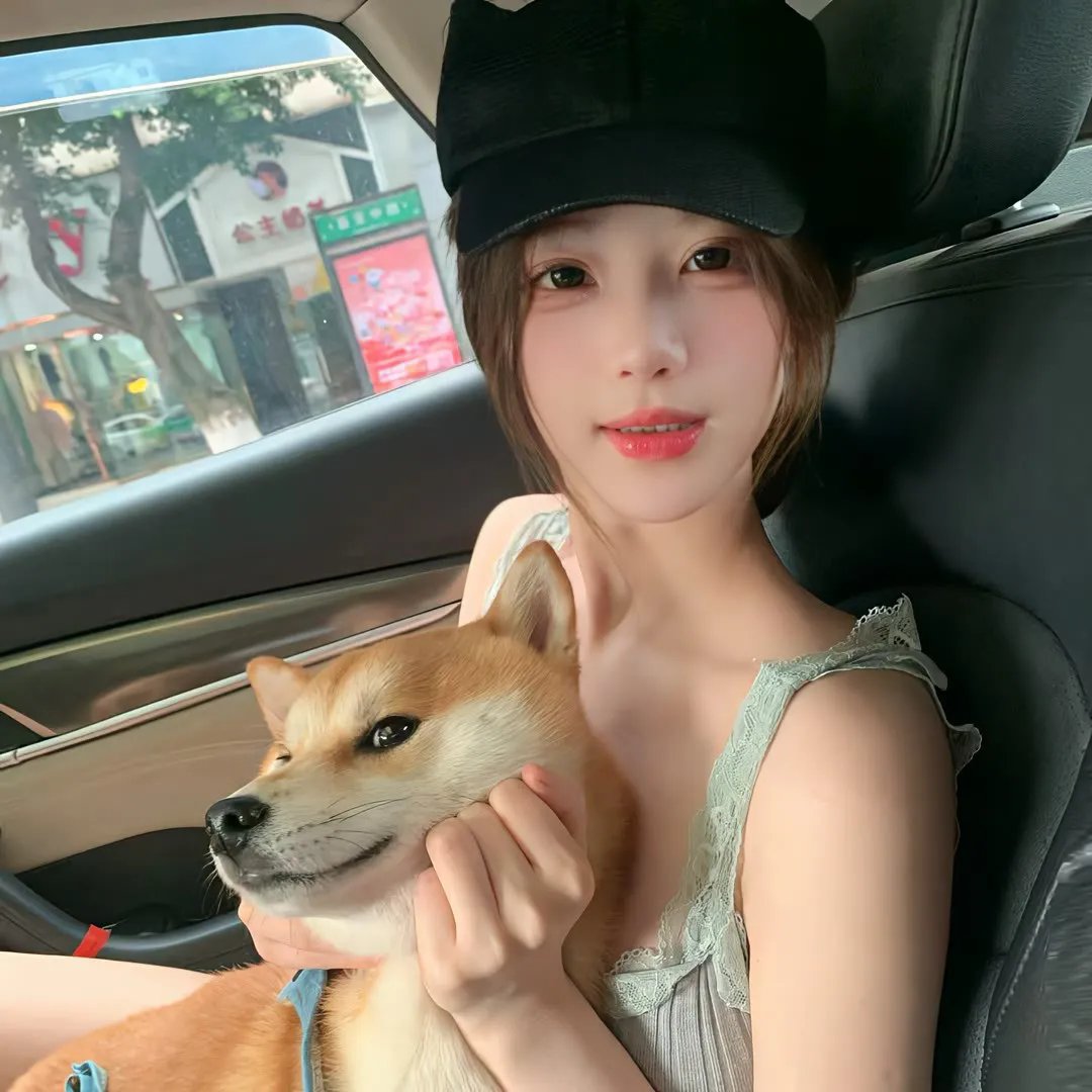 飞燕金枪